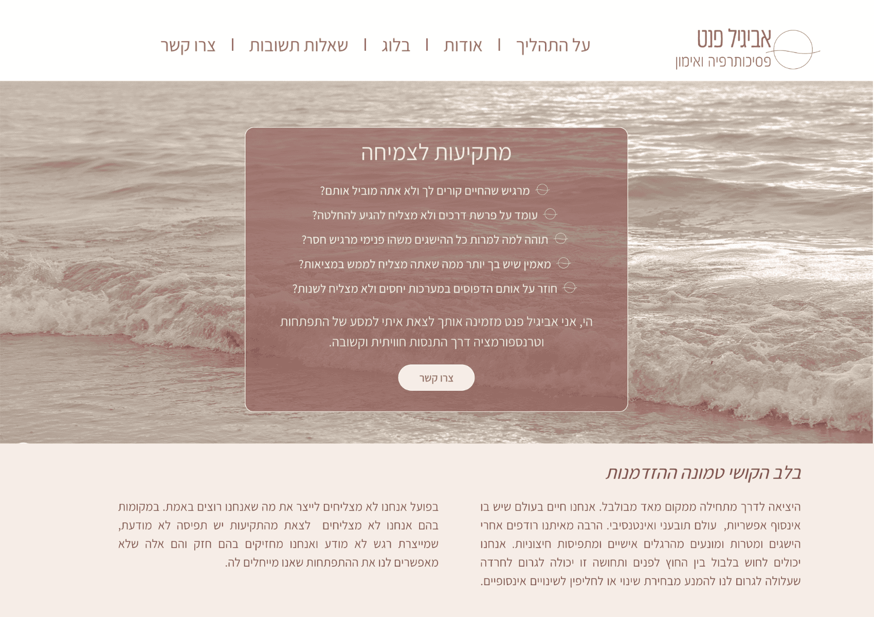 אביטל פנט- תצוגת מסך