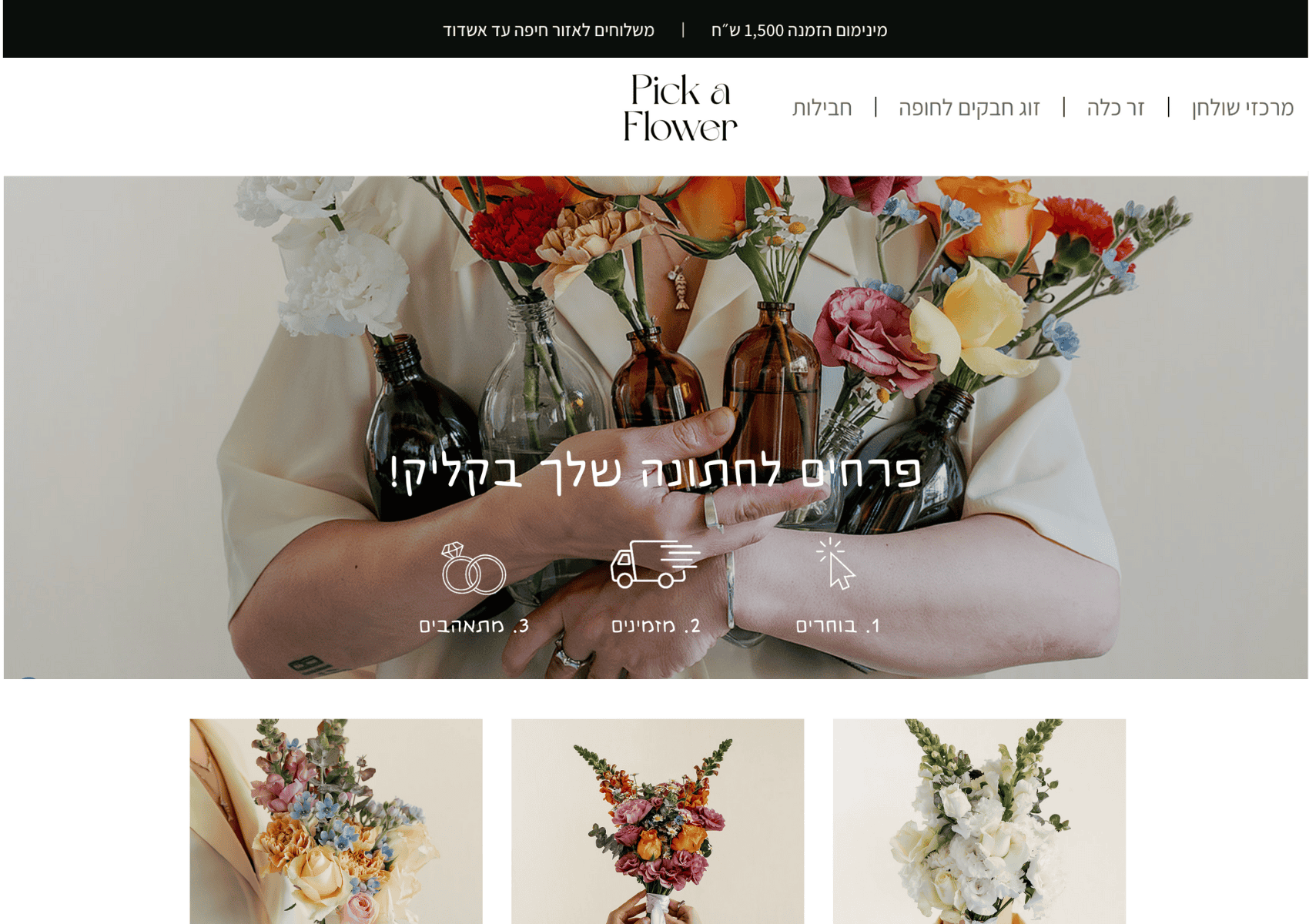 שי תורג׳מן- תצוגת מסך